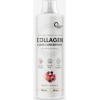 Collagen Concentrate Liquid (500мл)