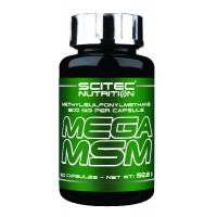 MEGA MSM (100капс)